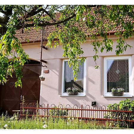 Ubytovani U Trati Hotel Moravská Nová Ves Екстериор снимка