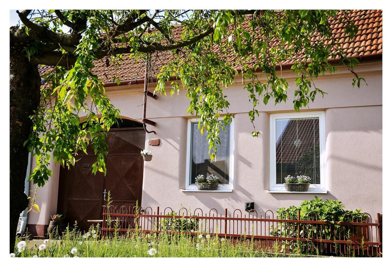 Ubytovani U Trati Hotel Moravská Nová Ves Екстериор снимка
